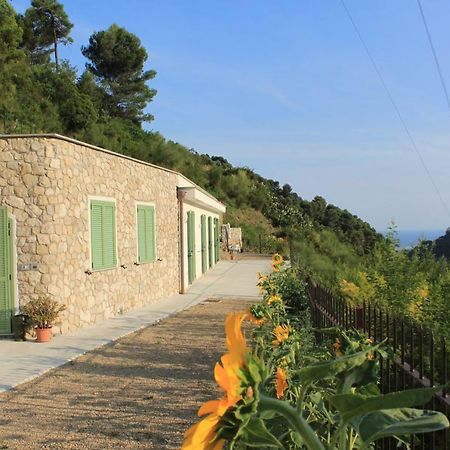 Apartmán Il Casotto Del Nonno Ventimiglia Exteriér fotografie