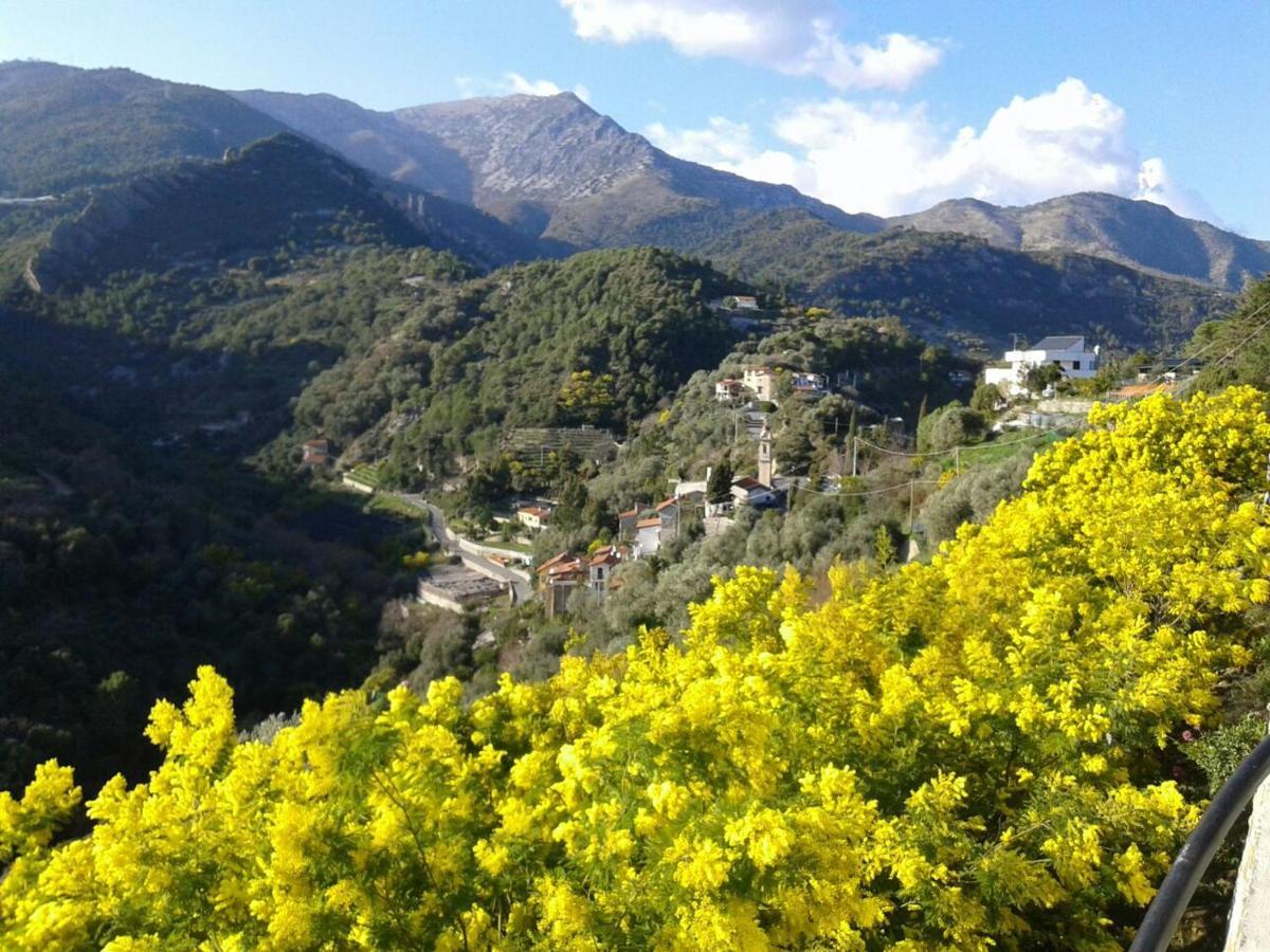 Apartmán Il Casotto Del Nonno Ventimiglia Exteriér fotografie